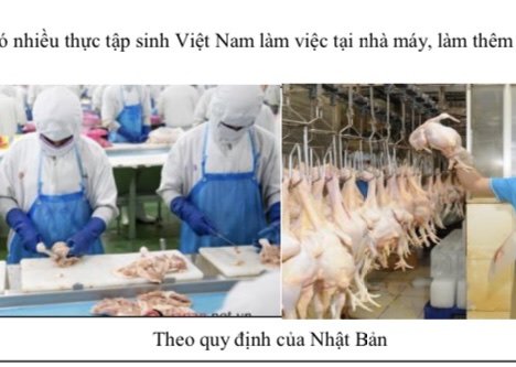 THÔNG BÁO TUYỂN THỰC TẬP SINH ĐƠN HÀNG THỰC PHẨM THANG 4 – 2023 HOKAIDO